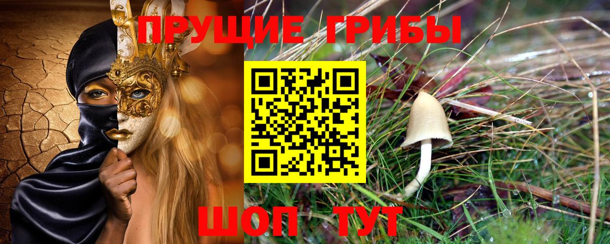 Псилоцибиновые грибы Psilocybe  Вход с VPN  даркнет сайт  Моздок 