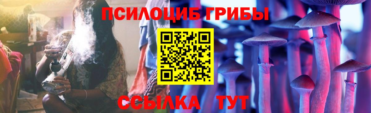 Псилоцибиновые грибы Cubensis Моздок